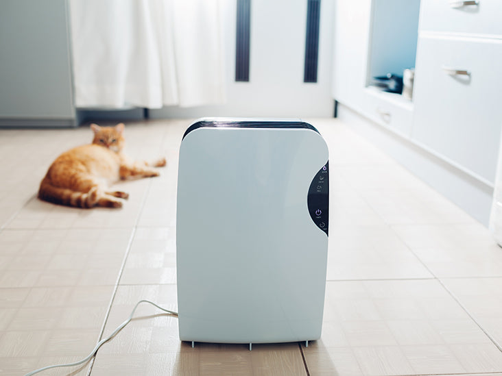 Finding a Quality Air Purification System