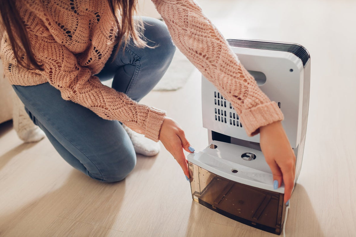 Exactly How Does a Dehumidifier Work? What You Must Know