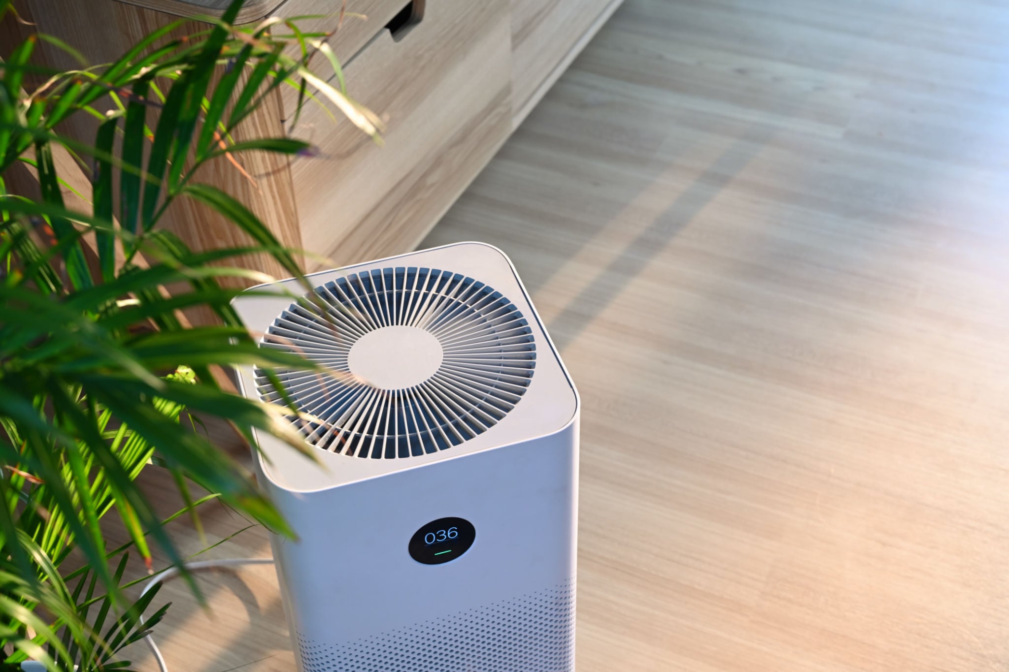 Buying Guide and Tips for Air Purifiers