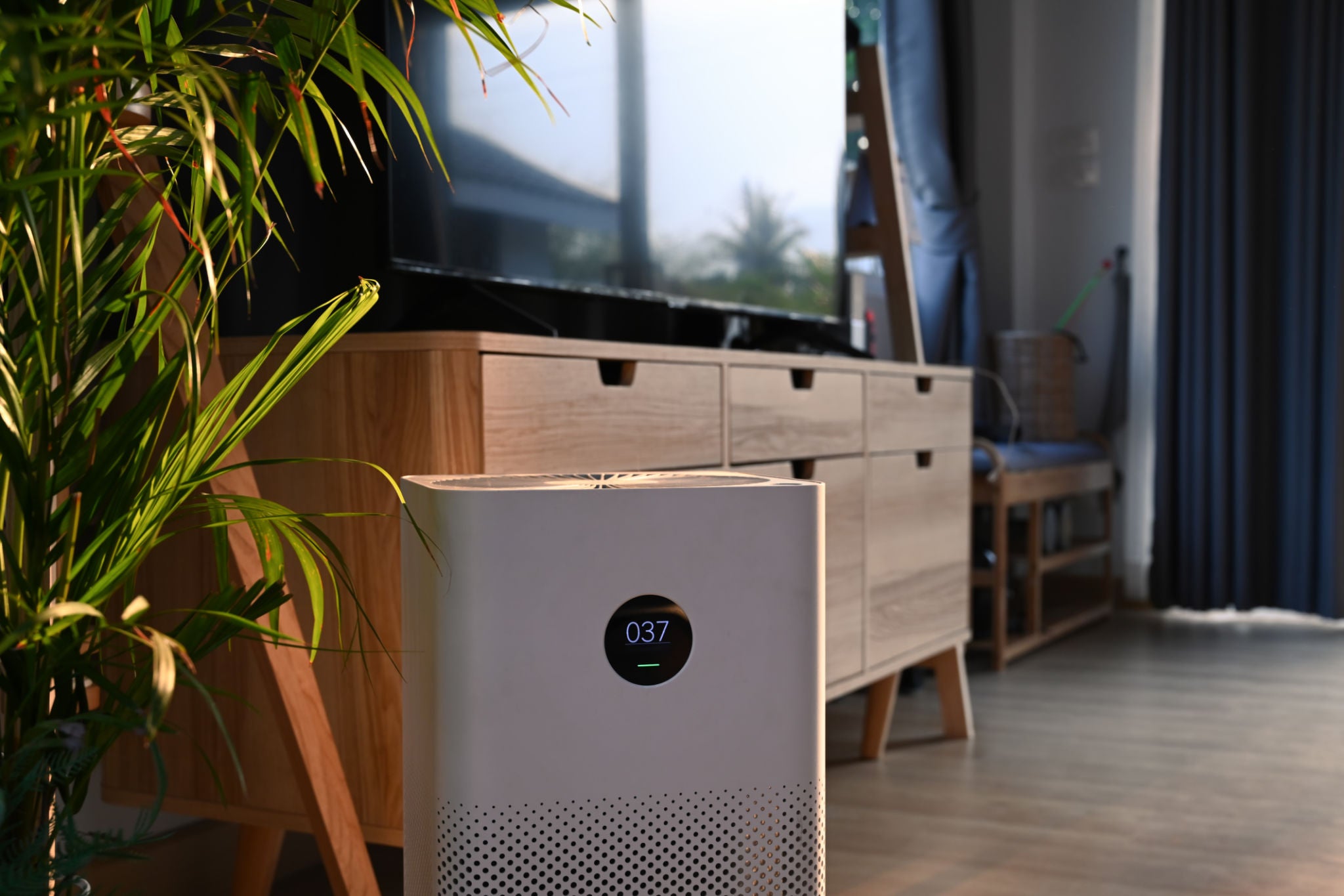 Top 10 Air Purifier Questions