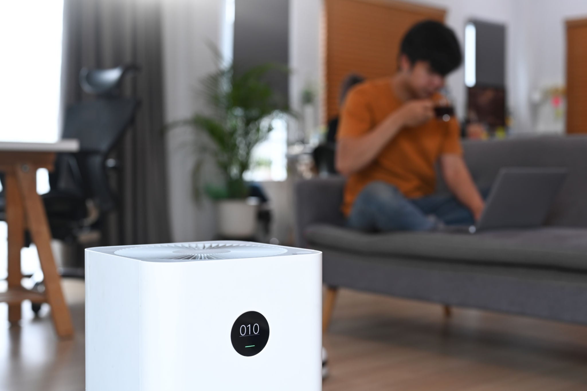 HEPA Air Purification System for Allergy Sufferers