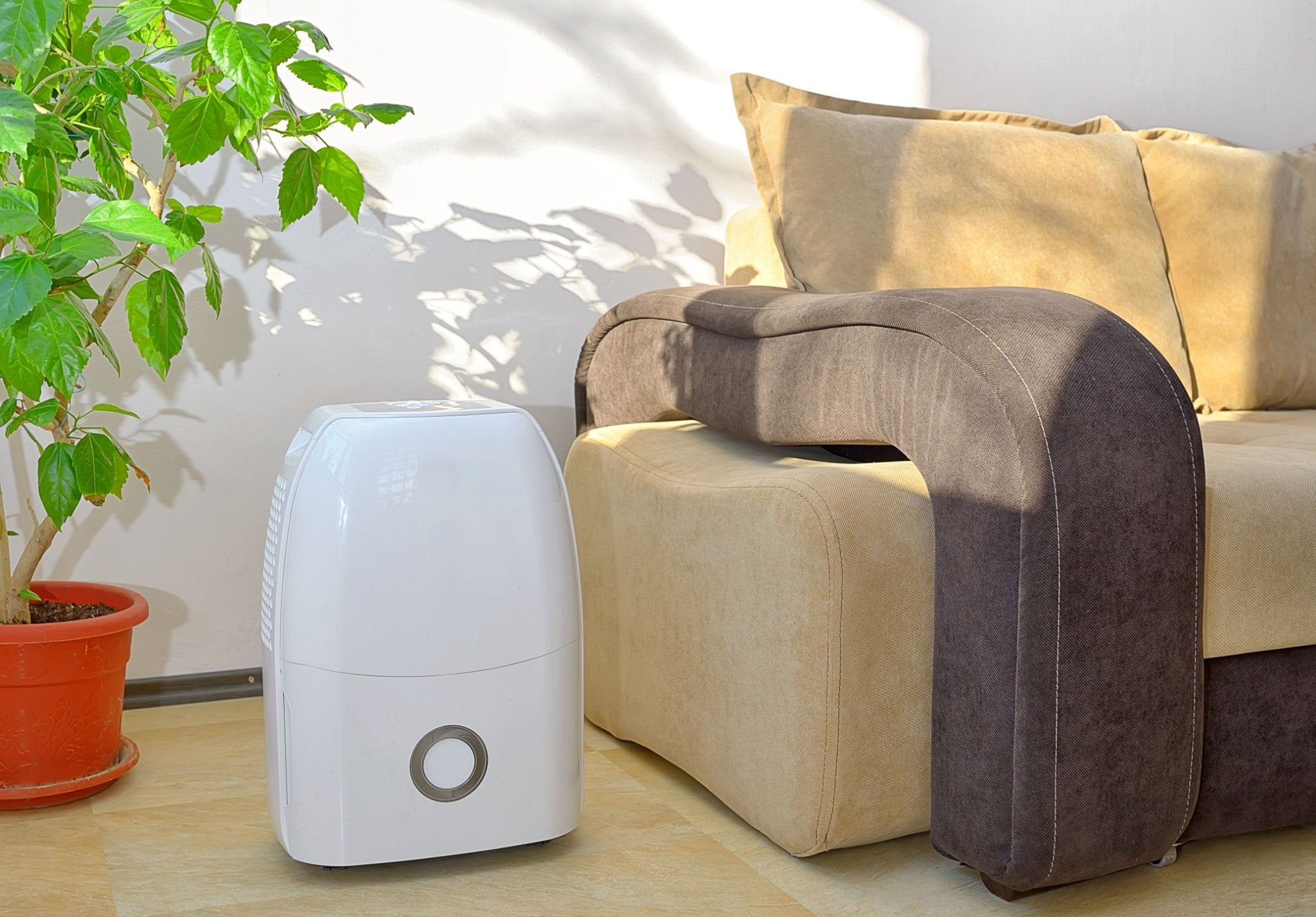 A Buying Guide for Dehumidifiers