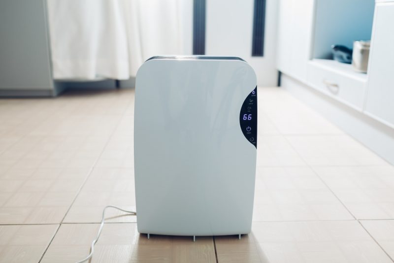  How a Dehumidifier Can Make Your Basement Comfortable