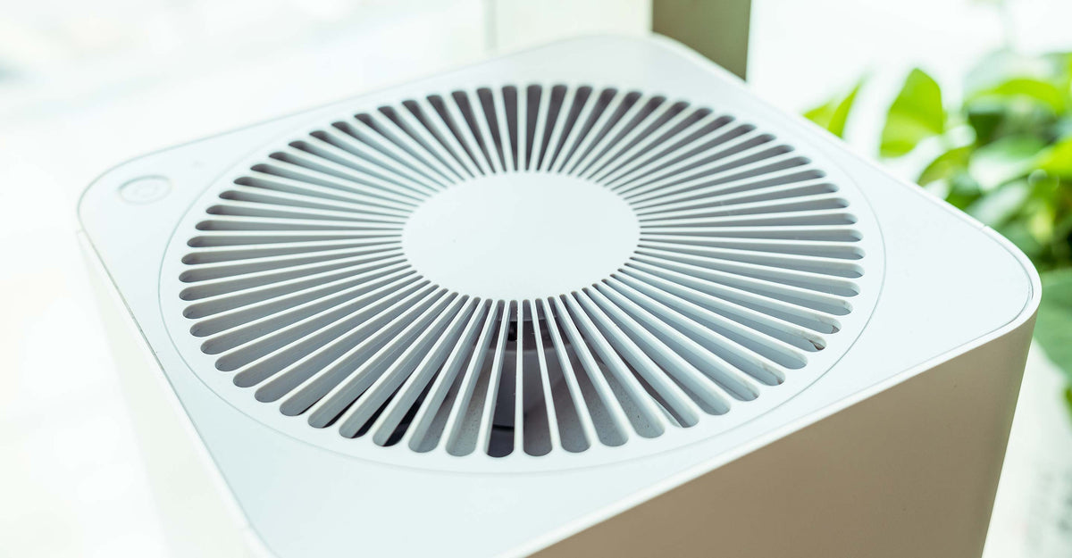 Should You Invest in a Quality Air Purification System? 