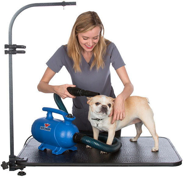 B-24 Professional Pet Dryer 1800 Watt Thermal with Heat - FOR THE