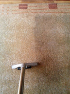 Cutlass 30L Carpet Extraction Machine by Cleanstar MADE IN ITALY