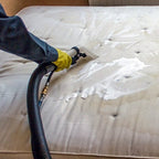 Cutlass 30L Carpet Extraction Machine by Cleanstar MADE IN ITALY