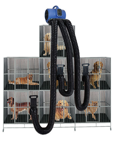 Cage Pet Dryer example use