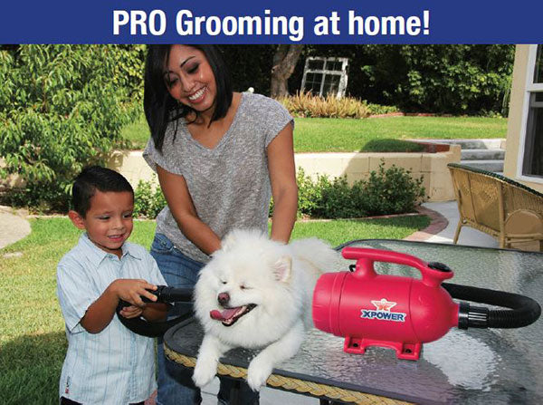 Pet grooming at home!